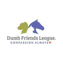 Dumb Friends Leagu3